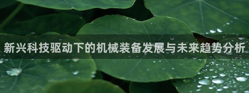 球盟会登录网址