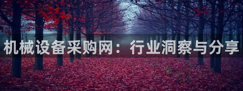 球盟会用的客服聊天是哪个软件