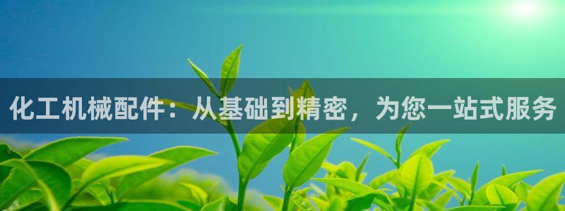 球盟会游戏几点玩合适